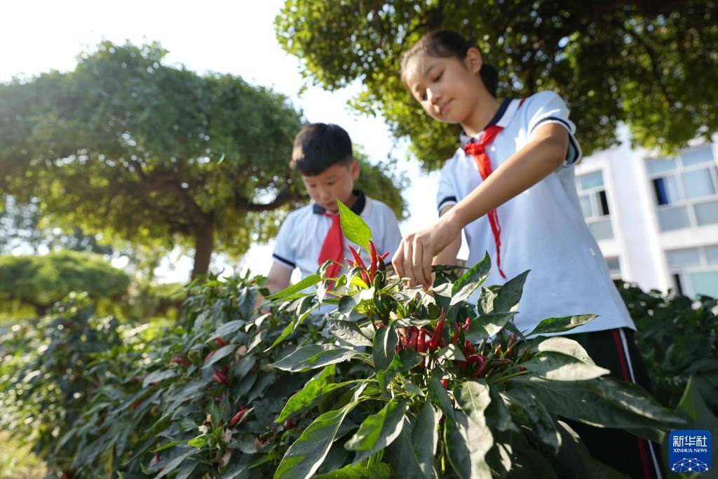 有森林游戏的游戏平台